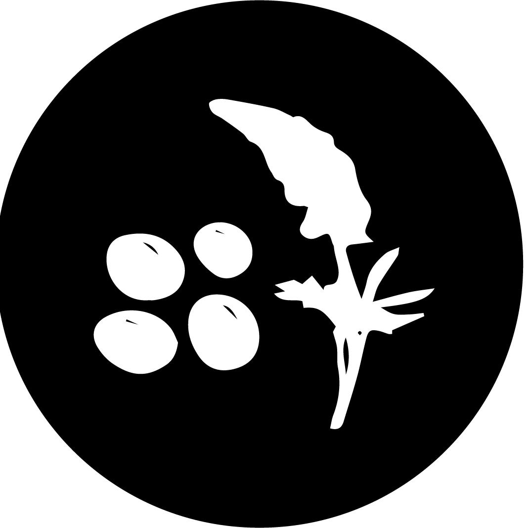 logo img/7.png